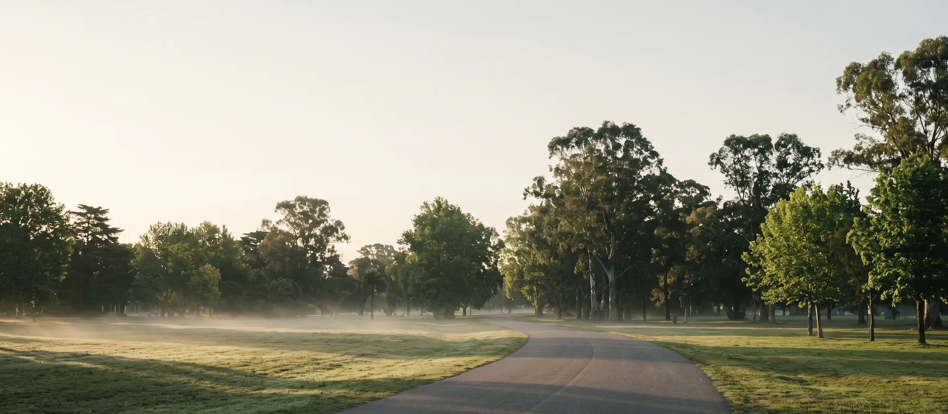 Un camino de parque vacío al amanecer, con neblina baja sobre el pasto